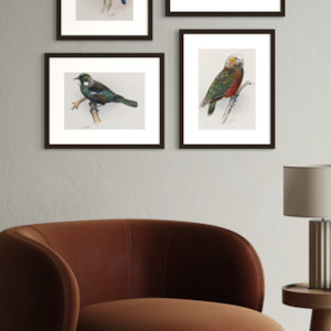 George Lodge- Print - Tui