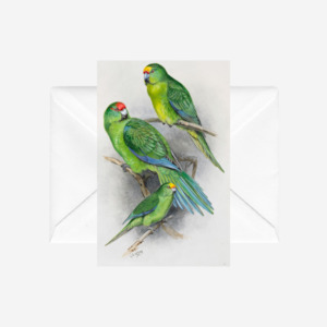 George Lodge - Card - Parakeet