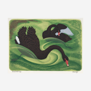 Art Prints: Eileen Mayo - Print - Black Swans