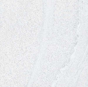Paver 20mm: White Sands - SQM