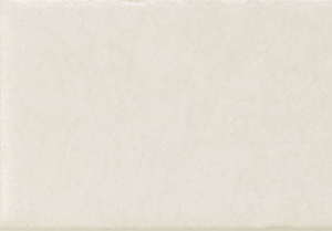 Skin White Matt - SQM