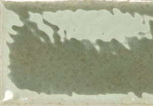 Skin Moss Gloss - SQM