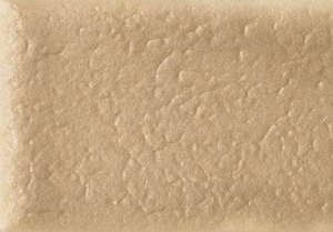 Skin Biscuit Matt -  SQM