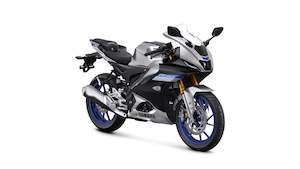 Learner Approved Motorcycles: 2023 Yamaha YZF-R15M
