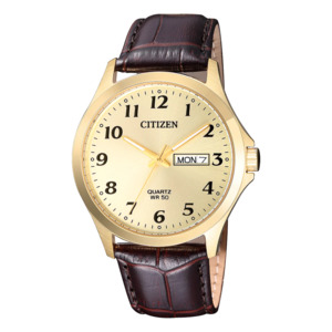 Citizen Classic Analogue Watch BF5002-05P