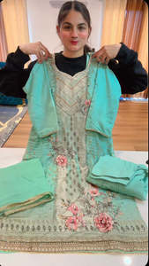 Casual Wear Punjabi Suits: ( Code: 742 )