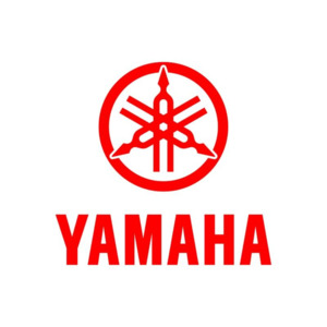 Yamaha Oem Parts: YAMAHA OEM WASHER PLATE 90202-06113