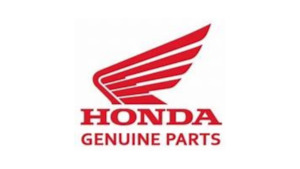 Honda OEM Screen Setting Pin  64206-ML0-700