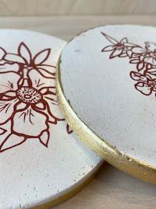 Manuka Plaster Studies