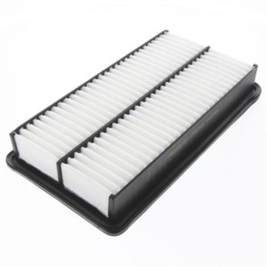 Air Filter PSA200