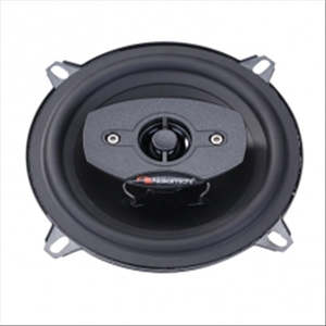 2 WAY 5.25"""" 25W NSE55