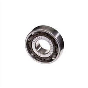 R/BRG ISU ELF 95- RB484
