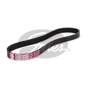 Drive Belt: Gates Fan Belt - Ribbed K050275 5PK700