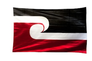 Products: Medium Flag 1.5 x 2.5 ft - TINO RANGATIRATANGA