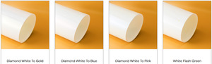 White Series Color PPF - Tint Guys