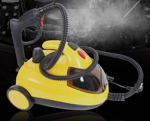 Products: Steamer - 1pc - Tint Guys