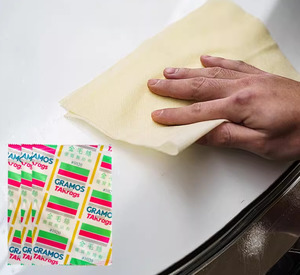 Products: Dust & Hair Remover - 10 pcs - Tint Guys
