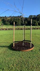 Edging And Modular: Corten Tree Rings