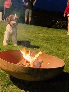Fire Bowls: Fire Bowl 600 & 750 Deep Bowl
