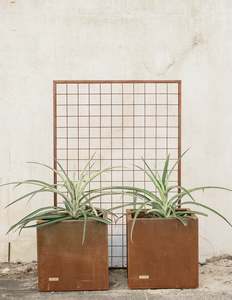 Plants Supports Archways And Trellis: Trellis By Tanz