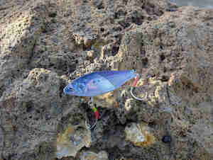 Little Jack More Keen 02 Vibe Blade