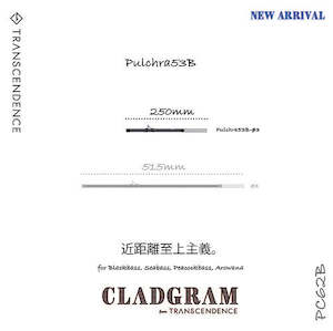 TRANSCENDENCE PC53B Blank