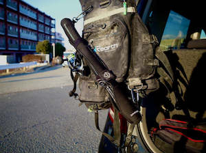 Transcendence: Transcendence Rod Case