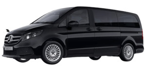 Products: Mercedes V-300d
