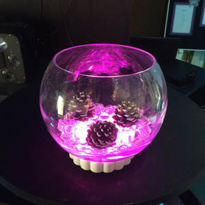 Products: Fish Bowls - large TLL Events