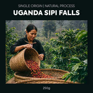 Single Origin - Uganda Sipi Falls Natural