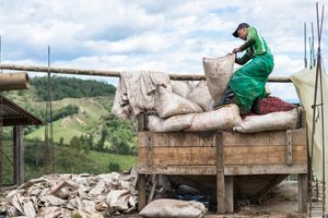 Single Origin Coffes: Single Origin - Colombia - Javier Quintero