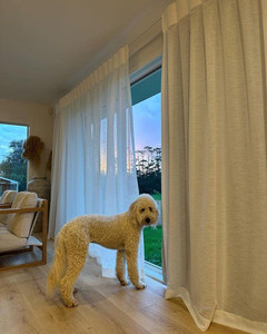 Products: Double Curtain Tracks Toben's Website