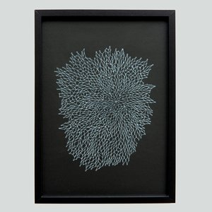 Pūrangiaho - Toi Ngapuhi