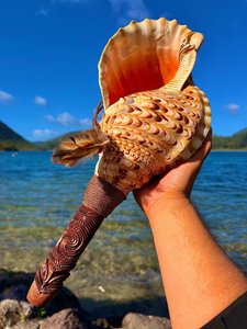 Pūtātara - Te Hiringa a Tāne Nui a Rangi - TOI NIKORIMA