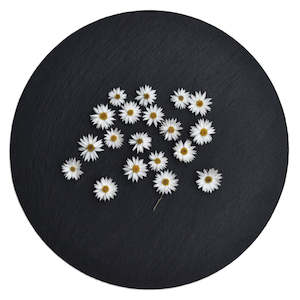 Flowers: Dainty Paper Cascade Daisy Flowers