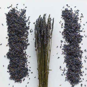 Flowers: Lavender Buds - Super Blue