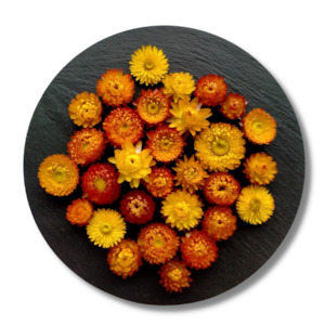 Flowers: Orange Dried Strawflowers
