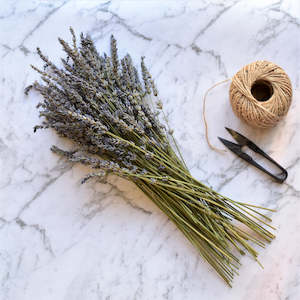 Flowerstems: Lavender Stems