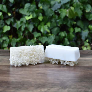 Botanical Skincare: Sea Salt Loofah Foot Scrubs