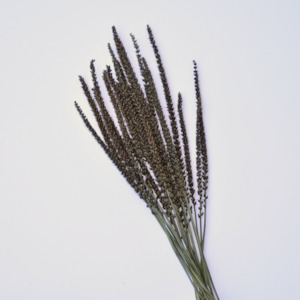 Dried Plantain Stems