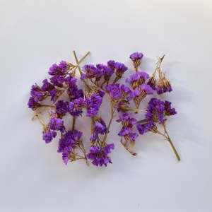 Statice Pieces - Purple