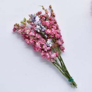 Flowerstems: Dried Larkspur - Mixed colour
