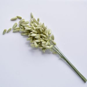 Flowerstems: Briza Quaking Grass Stems - Dried