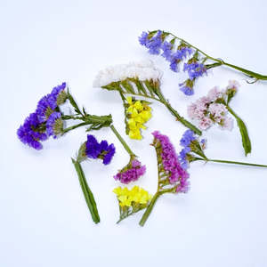 Statice Pieces - Mixed