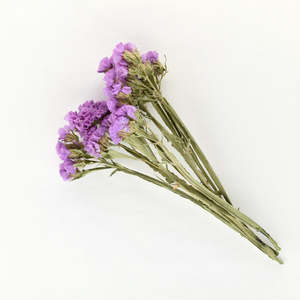 Flowerstems: Statice Stems - Purple
