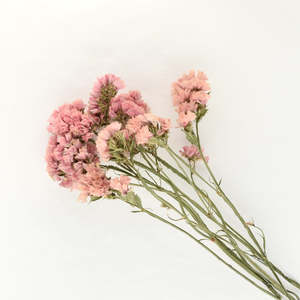 Flowerstems: Statice Stems - Dusky Pink