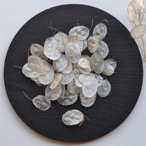 Dried Silver Dollar | Lunaria | Honesty