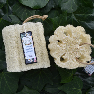 Botanical Skincare: Egyptain Loofah