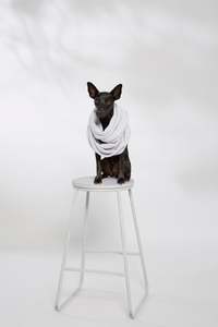 Cashmere Scarves Gloves: Endless Scarf