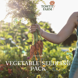 Products: Vegetable Seedling Pack Tomtit Farm